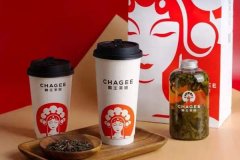 霸王茶姬加盟需要多少万元?